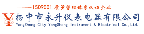 扬中市永升仪表电器有限公司